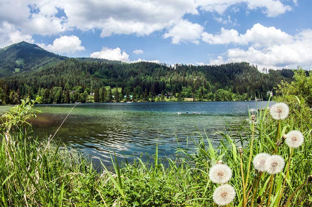 Erlaufsee © Michael Bogner / Shutterstock Erlaufsee