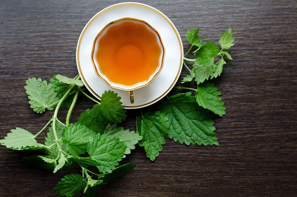 Brennnesseltee Hausapotheke © Masha Semenova / shutterstock.com Brennnesseltee Hausapotheke