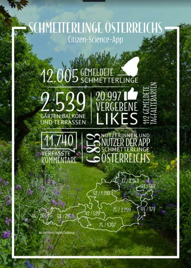 Schmetterlingsgarten Grafik Kopie Schmetterlingsgarten