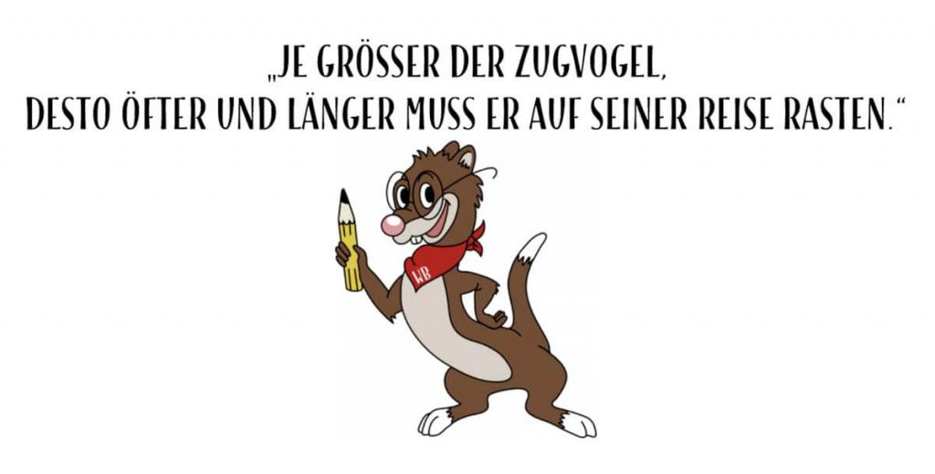Wieselblower Zugvoegel Kopie © Marian Grafik