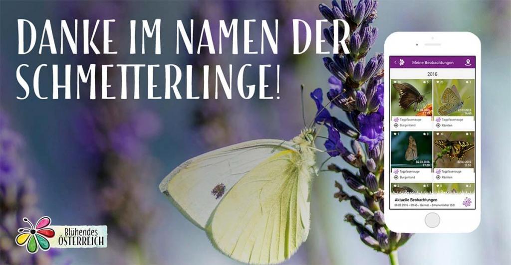 danke an die community © Blühendes Österreich App