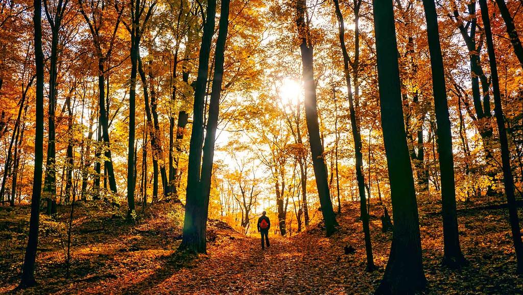 hebstwanderung-teaser © Pixabay Hebstwanderung