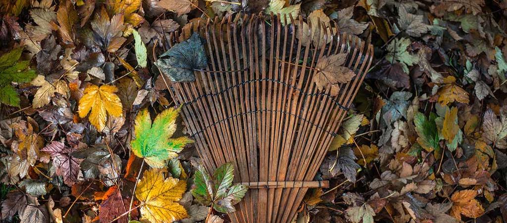 Gartenarbeit im herbst © Pixabay Gartenarbeit im herbst
