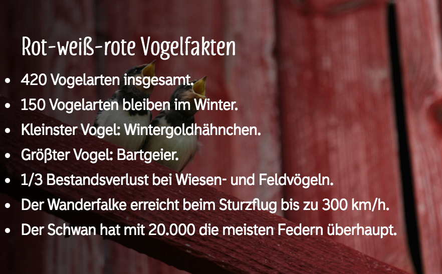 Vogelfakten2