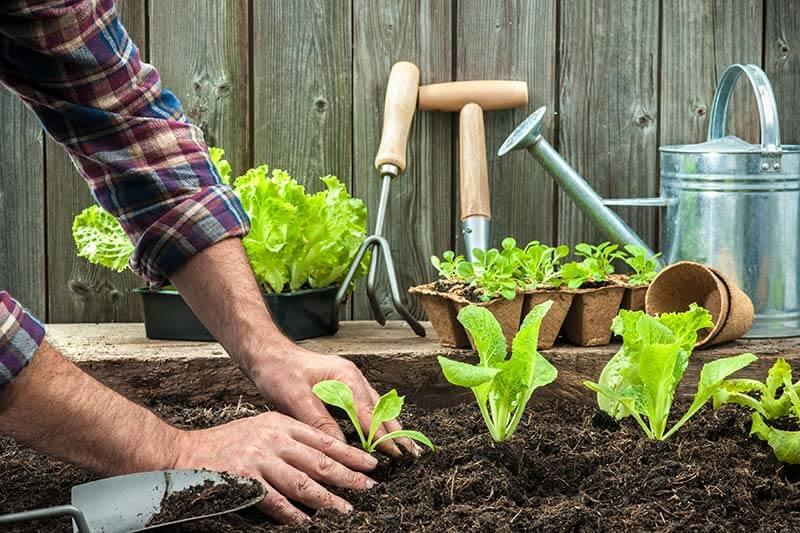 Garten im Fruehling