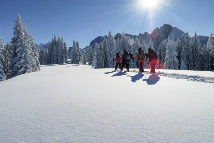 VARU_naturerlebnis_gosau_schneeschuhwanderung_bibereck_c_betty_jehle-590-700-525-100 © (c) NATURSCHAUSPIEL,
Betty Jehle