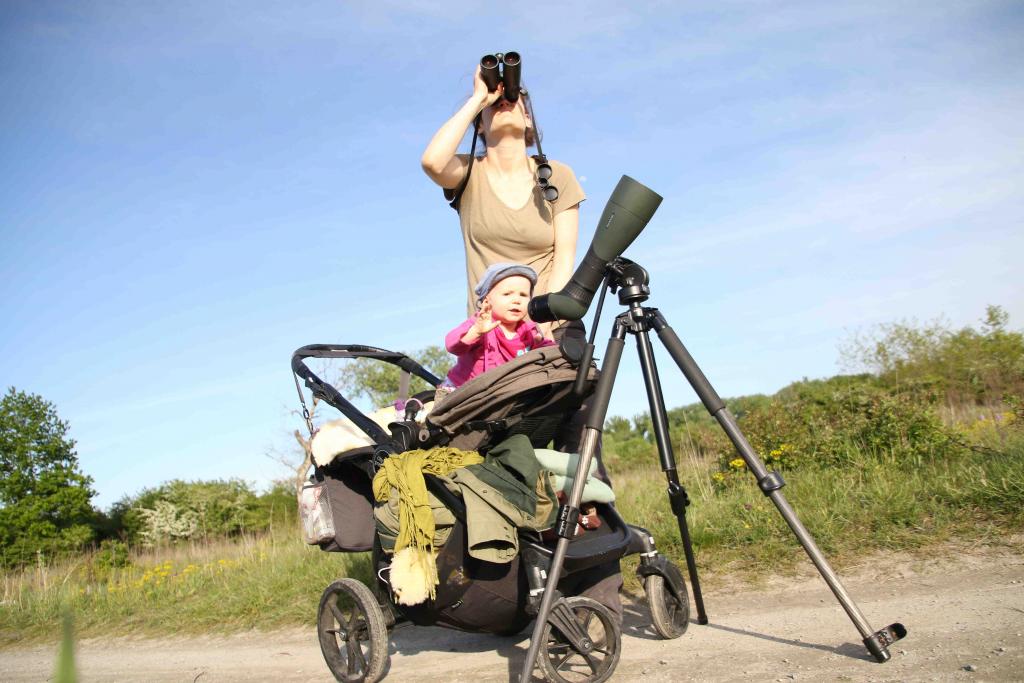 Birden mit Kinderwagen (c) Christoph ROLAND © (c) Christoph ROLAND.JPG