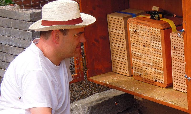 Peter Fuchs vor seinen Wildbienen-Nistkästen © Peter Fuchs Peter Fuchs vor seinen Wildbienen-Nistkästen