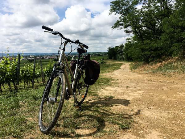 Fahrrad am Rand eines Weingartens