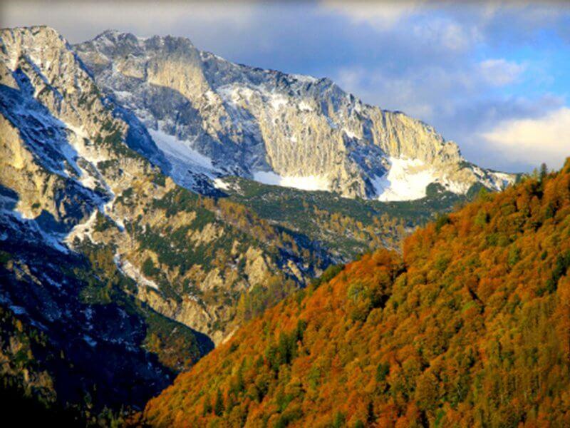 Buchenwälder Nationalpark Kalkalpen © Nationalpark Kalkalpen_Mayrhofer Buchenwälder Nationalpark Kalkalpen