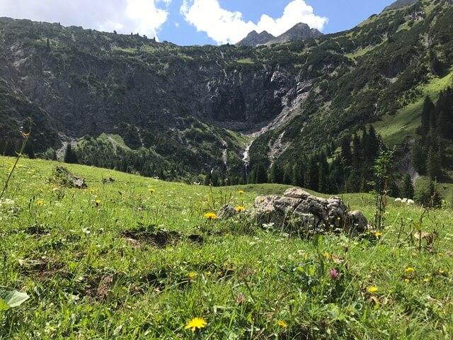 Auf der Gadenalpe ist es Mitte Juli ruhig – die Tiere sind auf den oberen Alpen.
(c) Ch Schwann © Auf der Gadenalpe ist es Mitte Juli ruhig – die Tiere sind auf den oberen Alpen.
(c) Ch Schwann