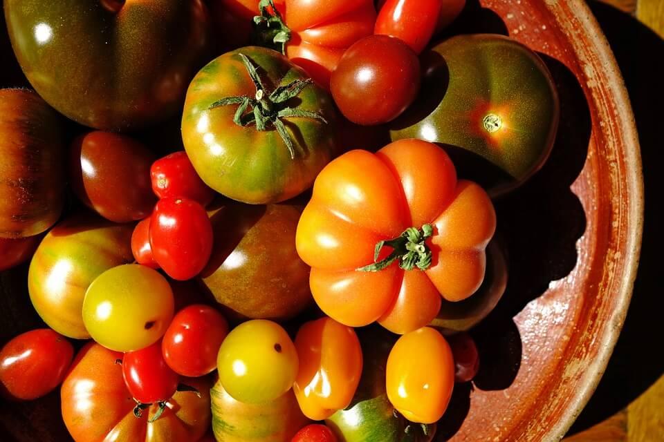 Tomaten (c) pixabay © Tomaten (c) pixabay