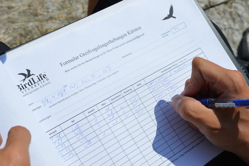 Beim Monitoring-Projekt werden Anzahl, Art und Details zur Sichtung notiert (c) Andreas Kleewein © Beim Monitoring-Projekt werden Anzahl, Art und Details zur Sichtung notiert (c) Andreas Kleewein