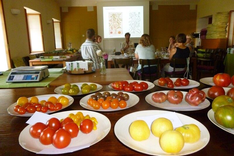Alte Tomatensorten stellen sich vor (c) Stefan Agnezy © Alte Tomatensorten stellen sich vor (c) Stefan Agnezy
