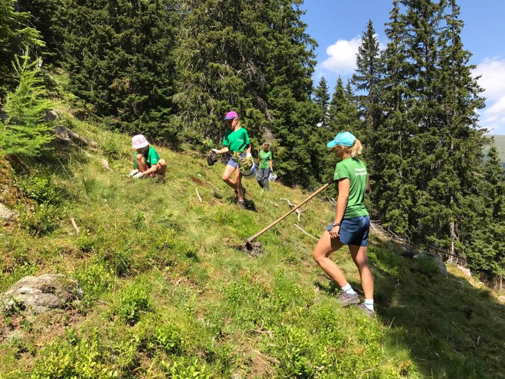 Freiwillige bei einem Bergwaldprojekt