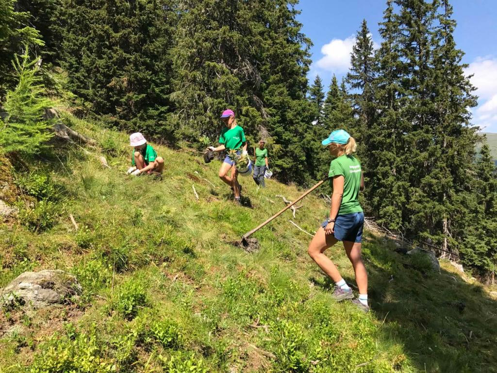 Anpacken im Wald © Christina Schwann Gruppe packt im Wald an
