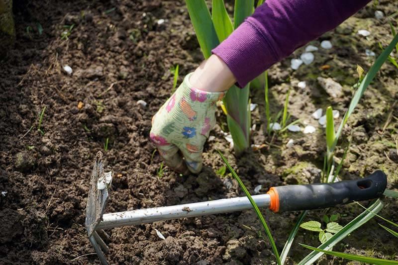 hacken Gartenarbeit