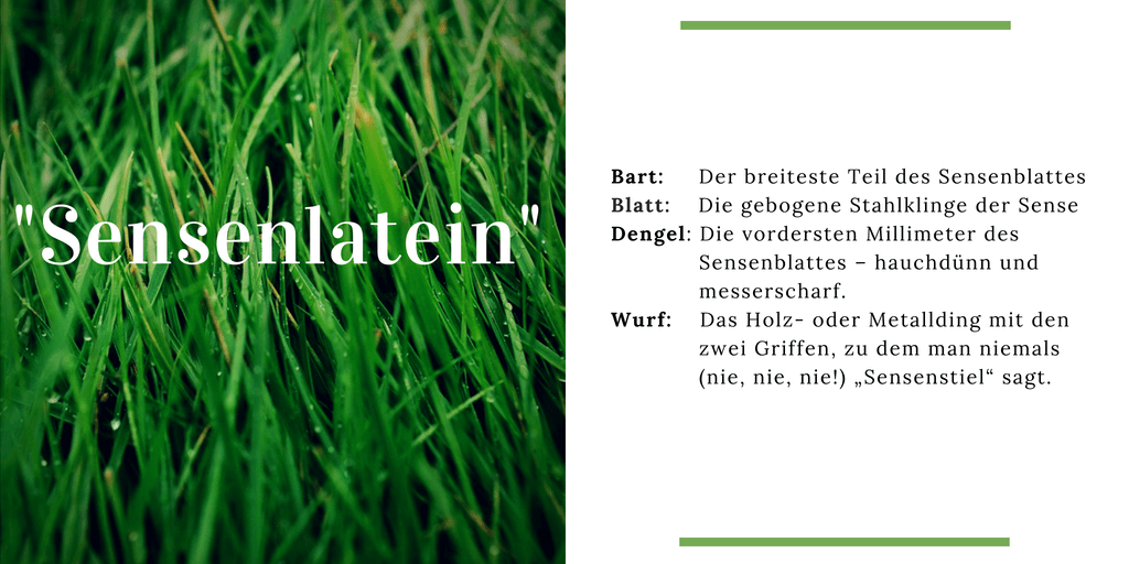sensenlatein