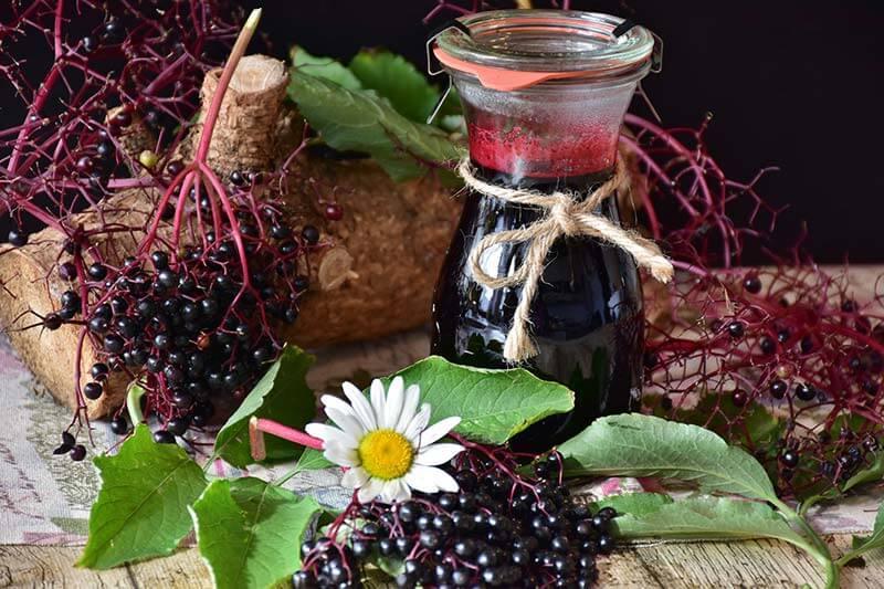 holunder-saft © (c) Pixabay.com schwarzer Holunder