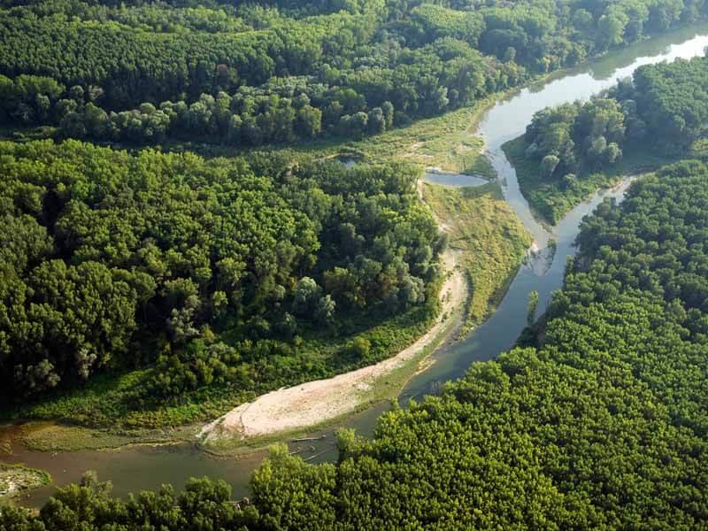 Haslau, Mitterhaufen © Nationalpark Donauauen/Kovacs Haslau, Mitterhaufen