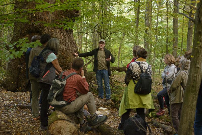 Wien / Lainzer Tiergarten: Exkursion in das Naturwaldreservat "Johannserkogel" mit Forstleiter Hannes Lutterschmied (c) Matthias Schickhofer © Matthias Schickhofer Exkursion