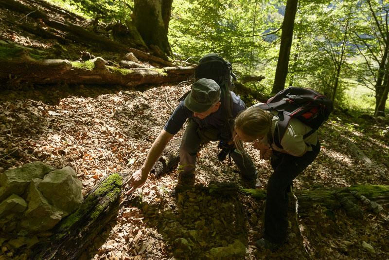 Exkursion Kalkalpen Nationalpark © Matthias Schickhofer Exkursion Kalkalpen Nationalpark