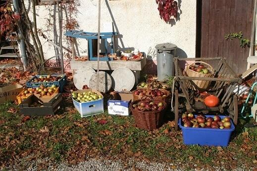 Reiche Ernte © Reiche Ernte