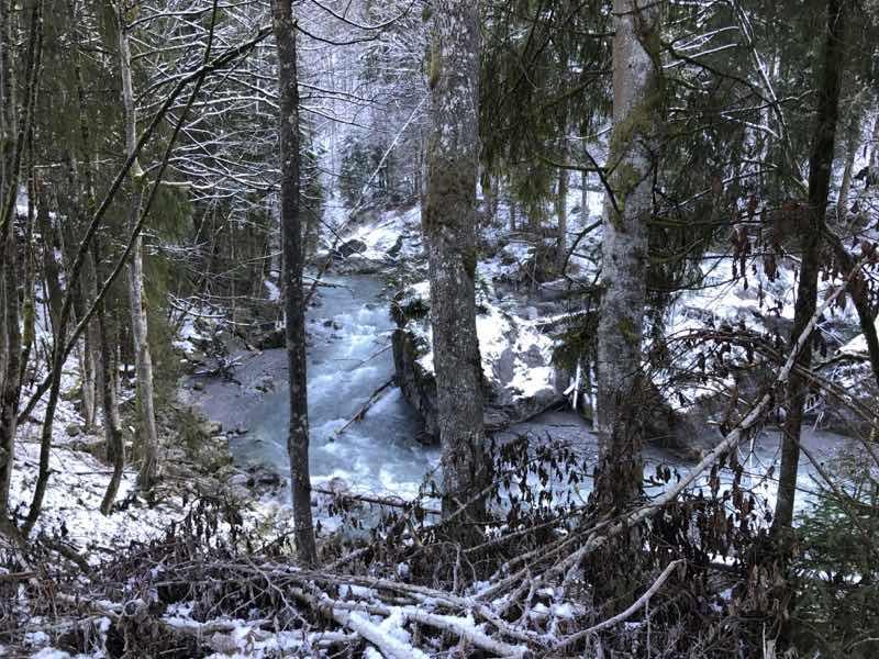 Die Lutz ist in ihrem Oberlauf noch ein echter Wildfluss, der sein Bachbett selbst gestalten darf. Foto: Christina