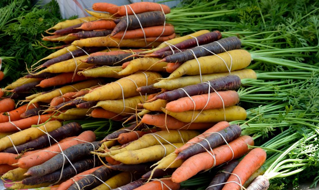 Karotten aus biologischer Landwirtschaft