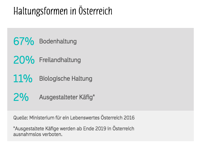 Eier-Haltungsformen in Österreich © Ministerium für ein Lebenswertes Österreich 2016 / Grafik von Mury Vo-Papis Eier-Haltungsformen in Österreich