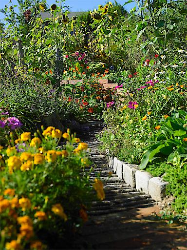 Natur im Garten Schaugarten Familie Huber