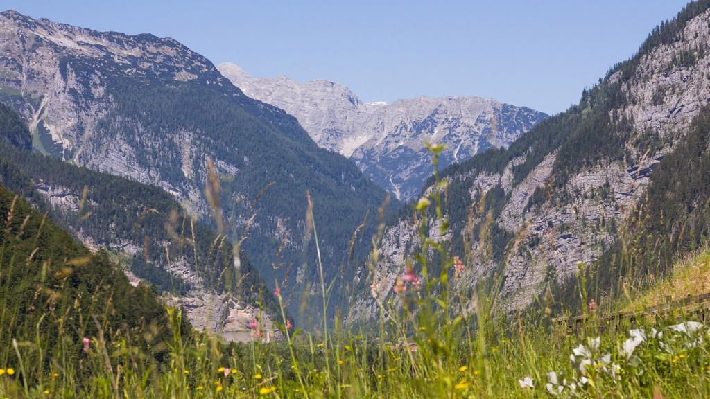 Saalachtal © REWE International AG Saalachtal