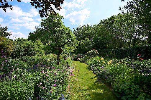 Schmetterlingsgarten