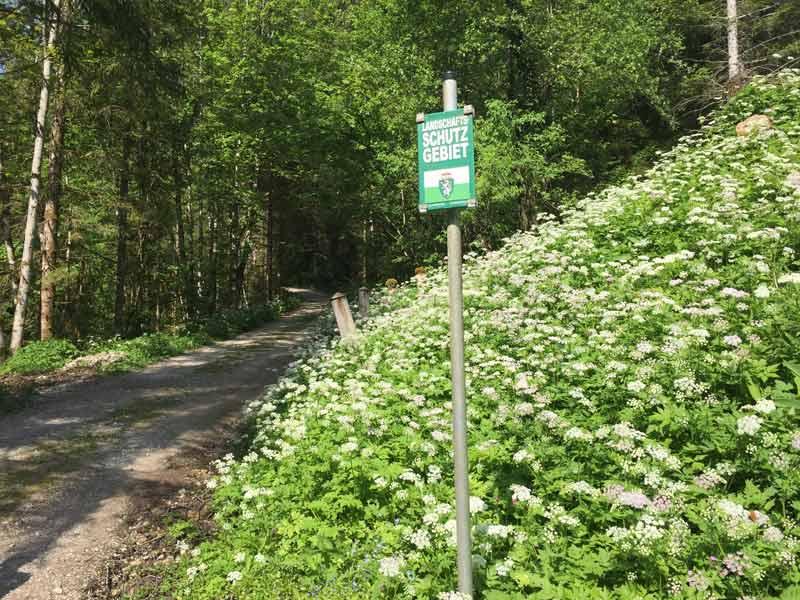 Die Spitzenbachklamm ist ein Naturdenkmal © ruhm perdomo Eingang zur Spitzenbachklamm