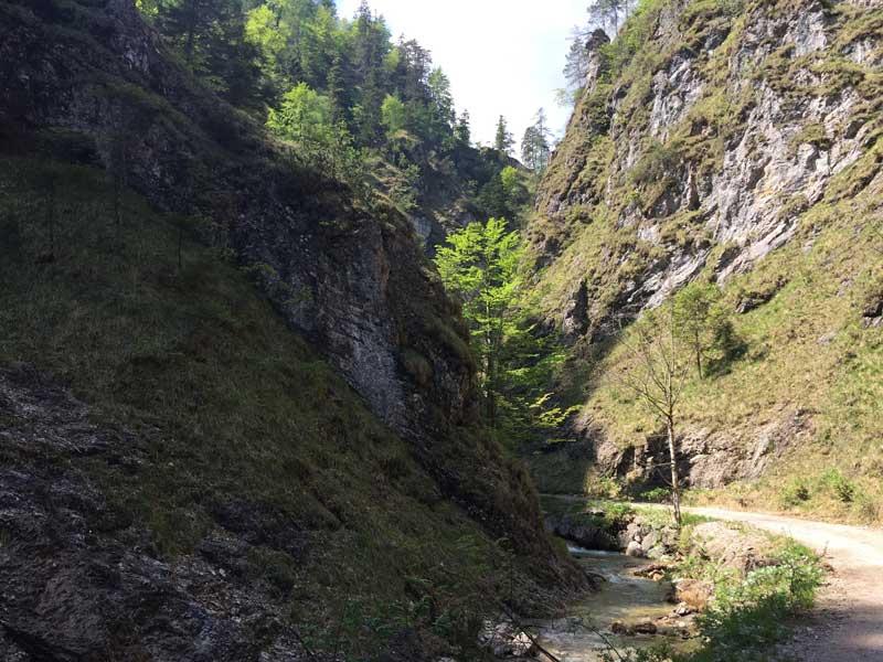 In einer Klamm wechseln Licht und Schatten sehr häufig © ruhm perdomo Bild der Spitzenbachklamm