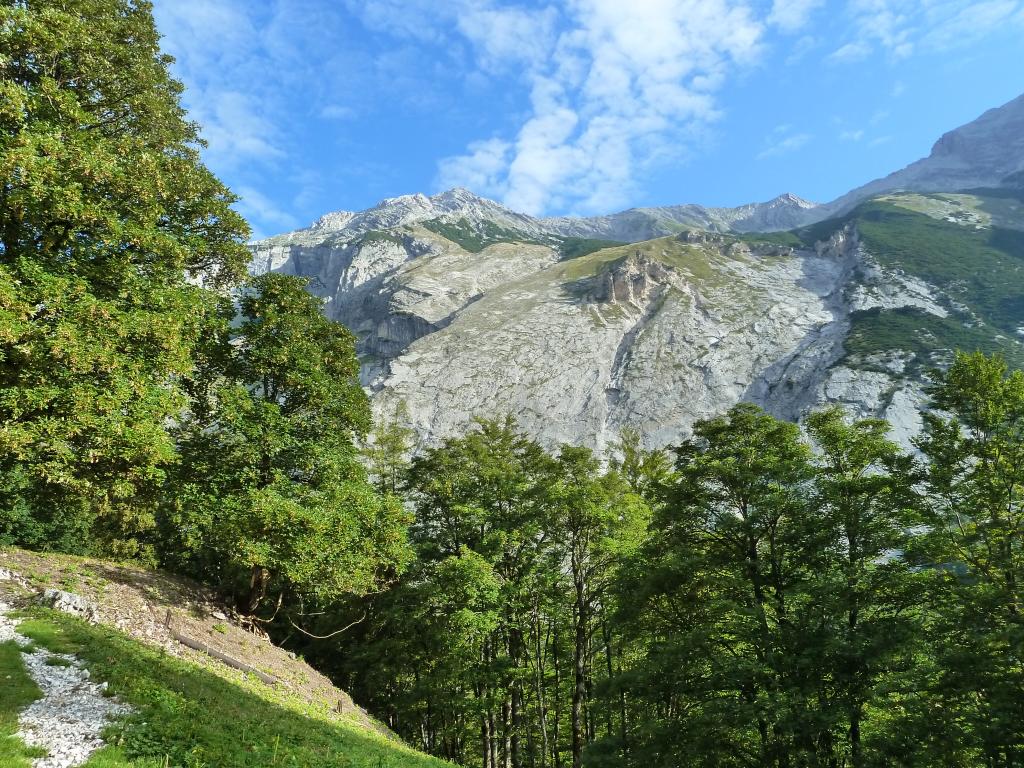 Jagd - Im Halltal im heutigen Alpenpark Karwendel jagte schon Kaiser Maximilian I.