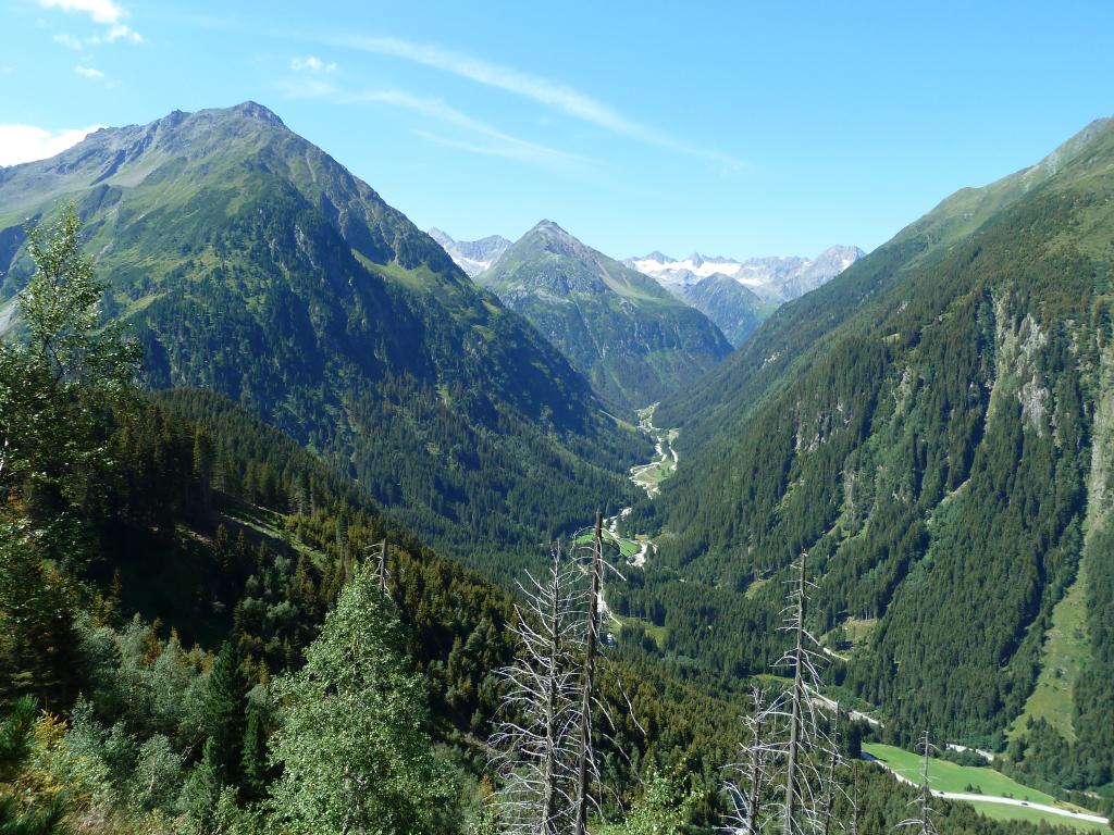 Jagd - Ein gesunder Schutzwald ist für Tirols Täler unerlässlich.