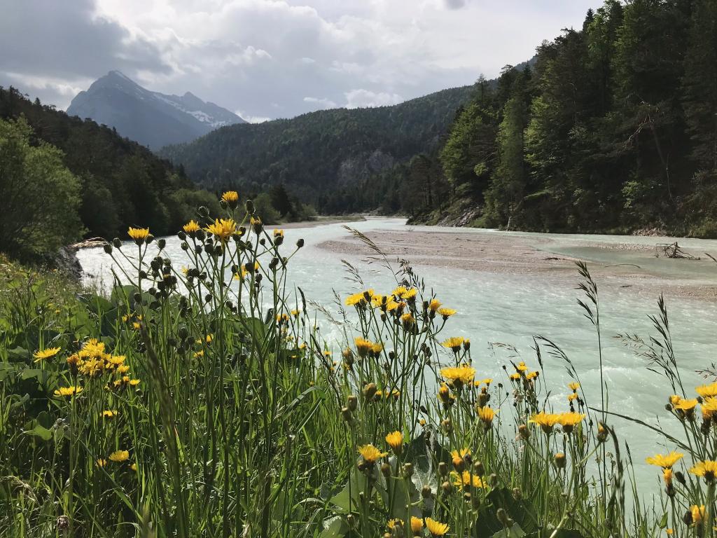 Nature Watch - Die Isar bei Scharnitz hat noch genügend Platz. © Christina Schwann Nature Watch - Die Isar bei Scharnitz hat noch genügend Platz.