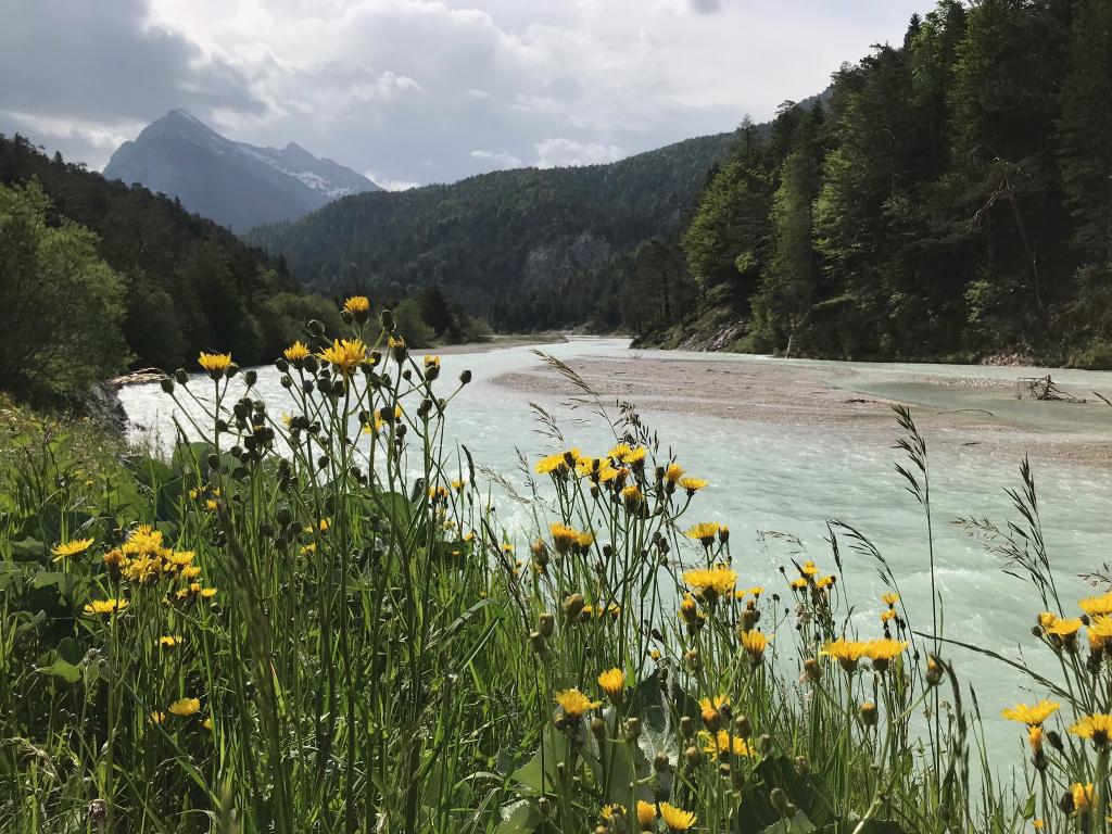 Nature Watch - Die Isar bei Scharnitz hat noch genügend Platz.