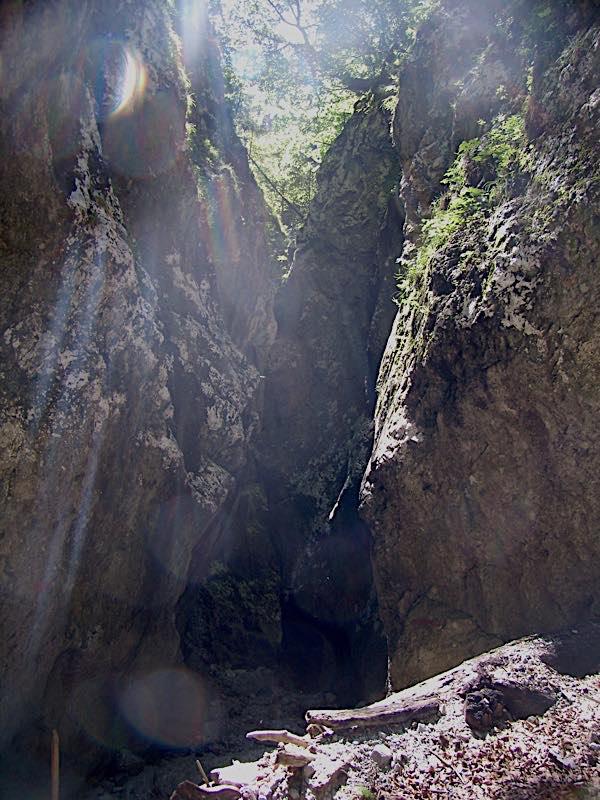 © Ch Schwann mystische Schlucht