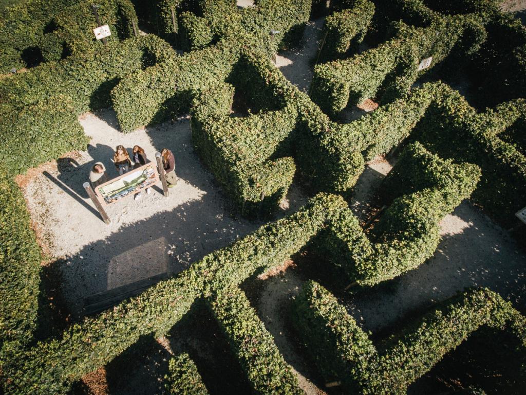 © Nationalpark Gesäuse / Stefan Leitner Labyrinth beim Weidendom