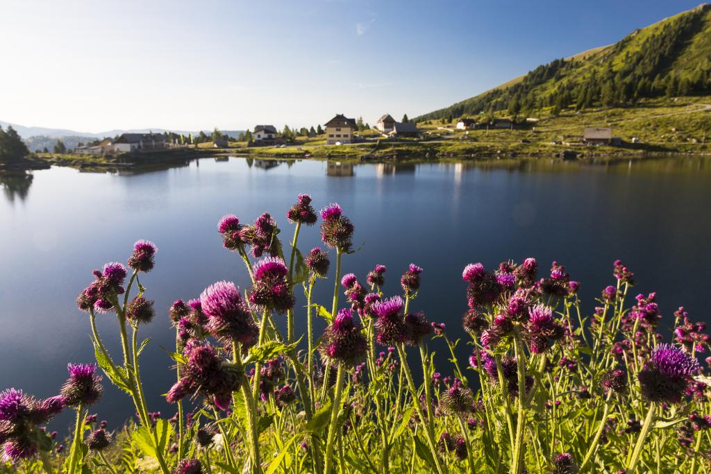 © Uwe Grinzinger Falkertsee, Biosphärenpark Nockberge