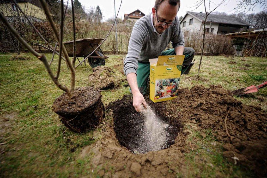 © Blühendes Österreich / Alex Papis Boden aktivieren