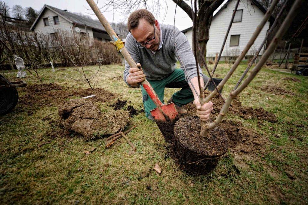 © Blühendes Österreich wurzeln freilegen