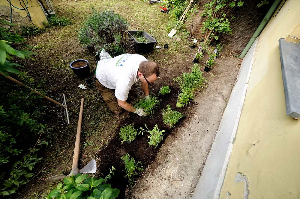Kräutergarten anordnen © Blühendes Österreich/Alex Papis Kräutergarten anordnen