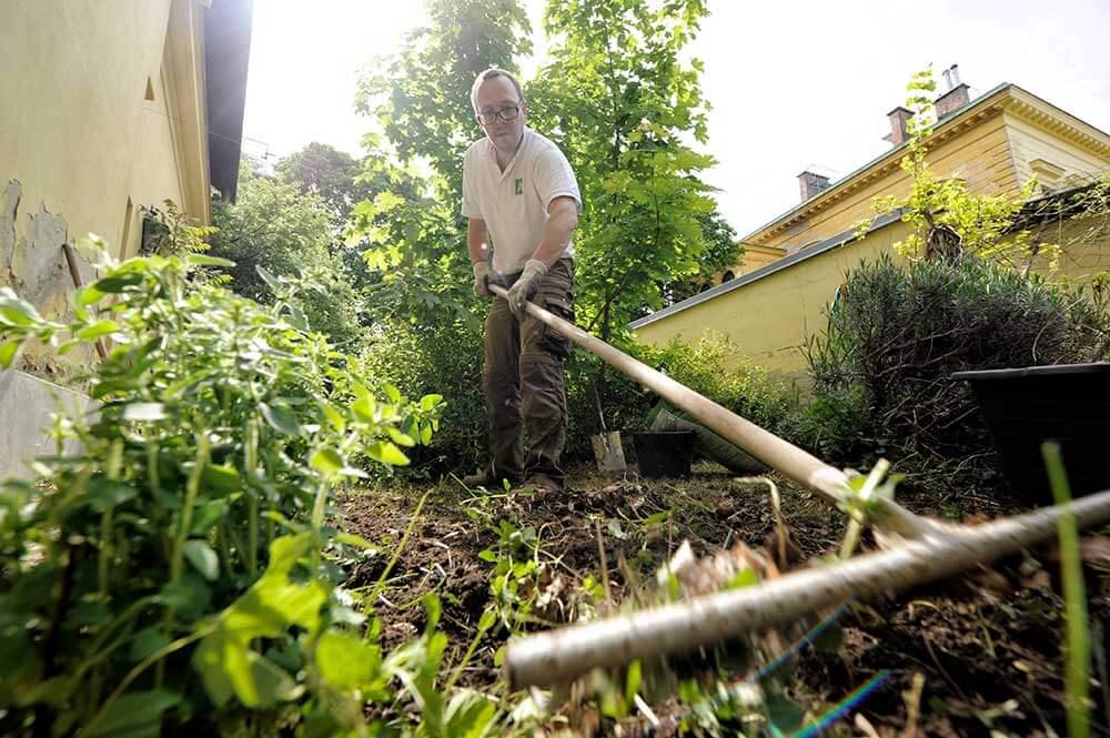 Glatt rechen © Blühendes Österreich/Alex Papis Glatt rechen