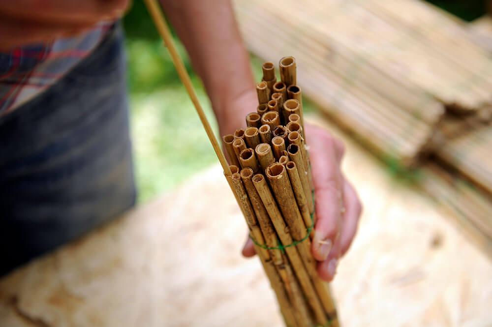Schilf durchputzen © Blühendes Österreich Schilf durchputzen