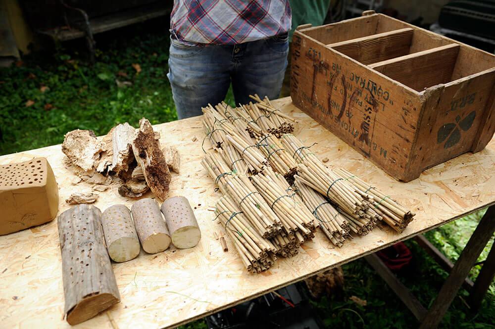 Schilf bündeln © Blühendes Österreich/Alex Papis Schilf bündeln