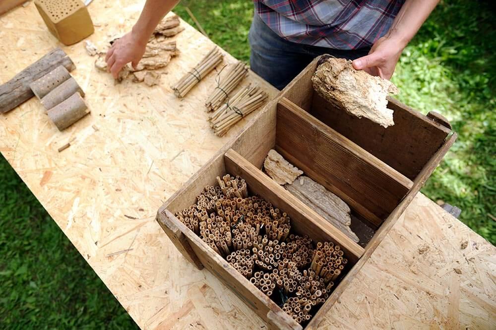 Insektenhotel befüllen © Blühendes Österreich Insektenhotel befüllen
