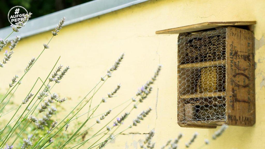 Insektenhotel selber bauen